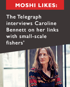 Carolines Telegraph Interview
